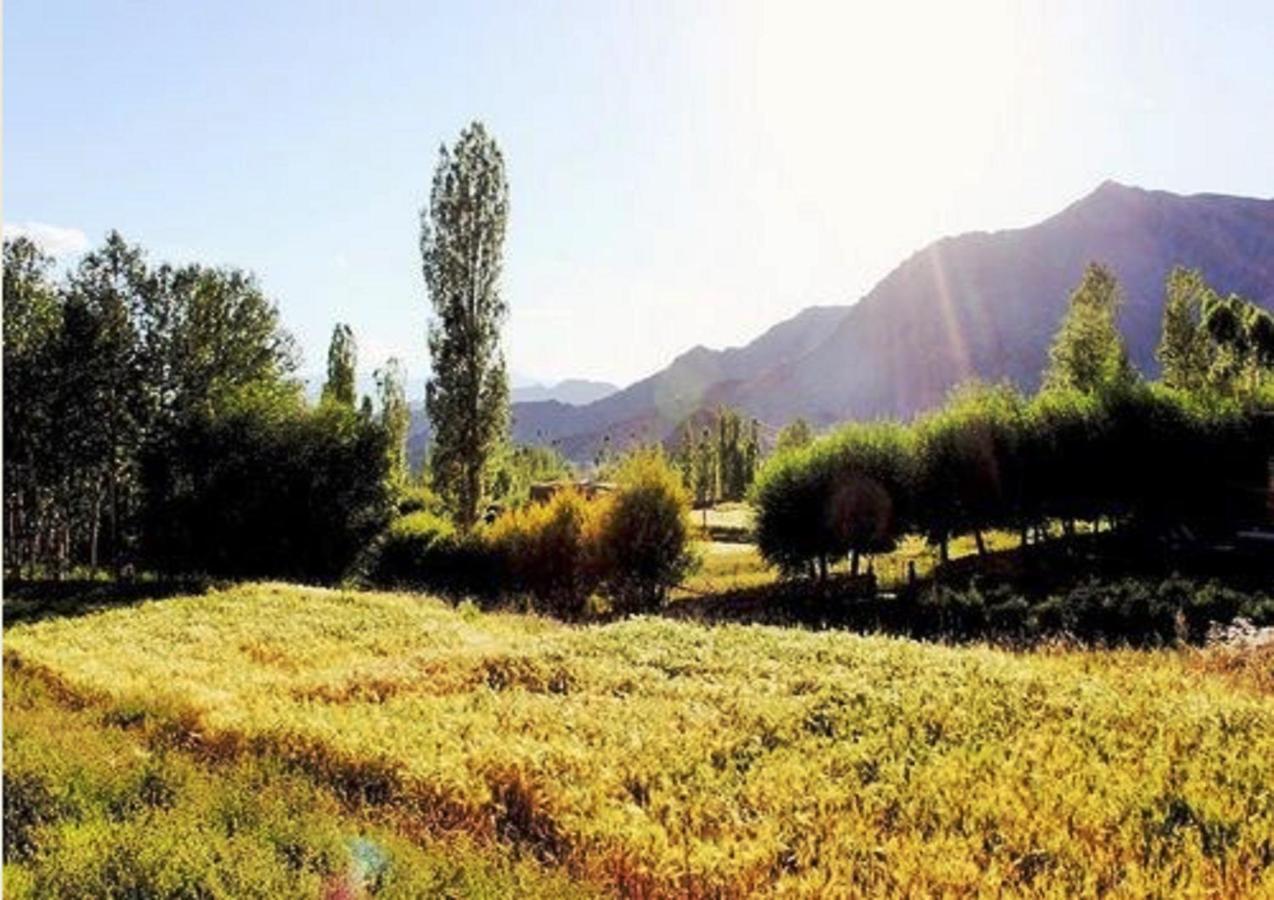 Himalayan Residency Ladakh Otel Leh Dış mekan fotoğraf